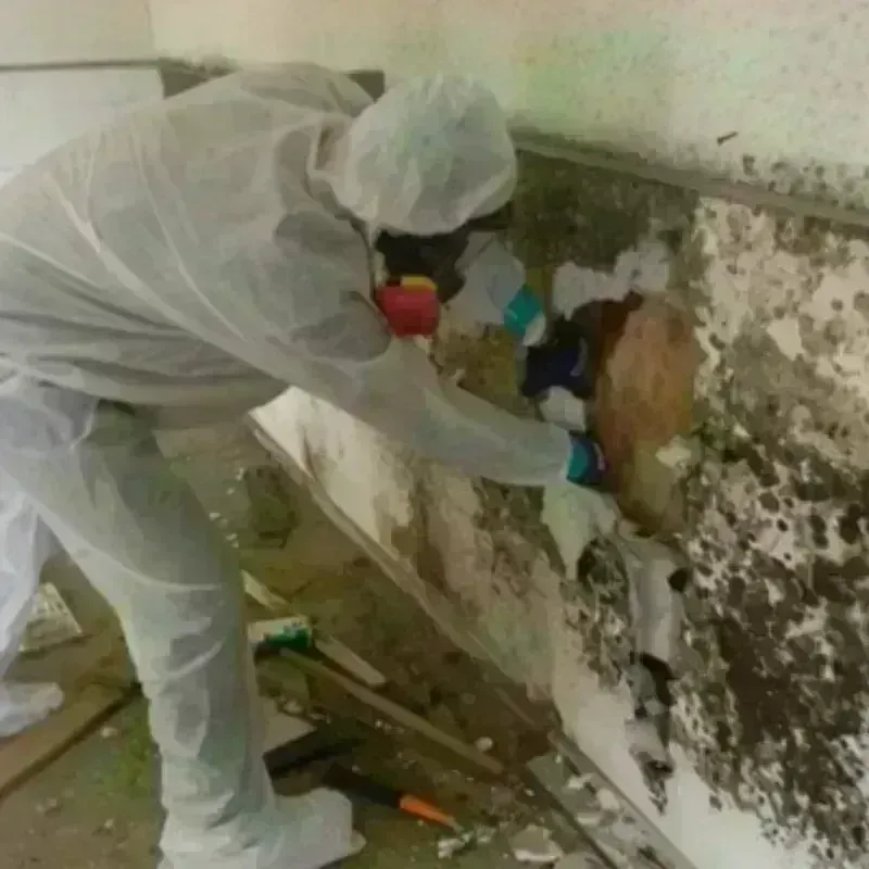 Mold Remediation and Removal in Hoonah-Angoon Census Area, AK